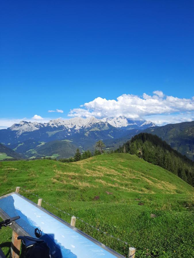 Landhaus Theresia Sankt Martin am Tennengebirge Exterior foto